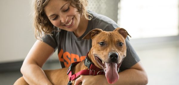 adoption process- a dog and a woman