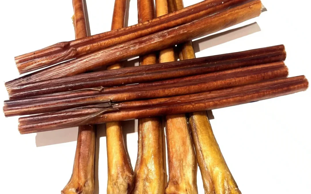 Understanding Bully Sticks: Are They Beneficial for Your Dog?