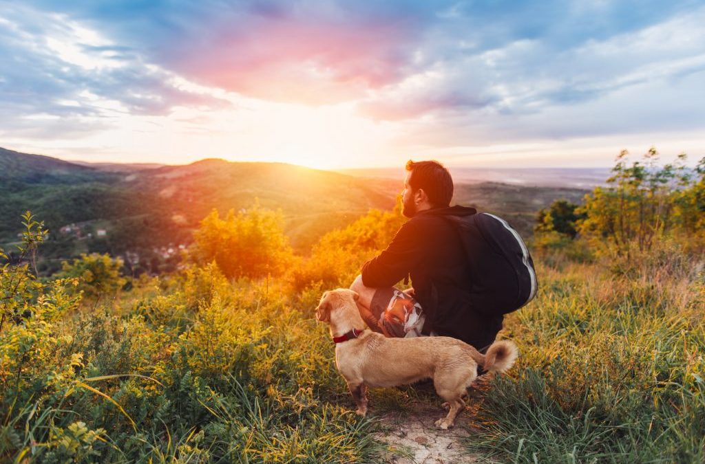 User Fun Outdoor Activities to Enjoy with Your Pet This Spring