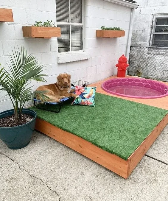 Backyard Safety for Pets: Creating a Pet-Friendly Outdoor Oasis