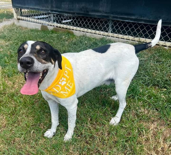 Clifton: A Heart That Longs for a Home