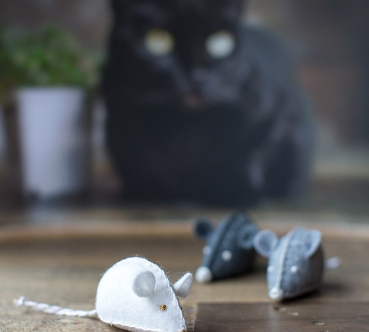 Crafting for Critters: DIY Toys to Support Noah’s Ark Animal Shelter