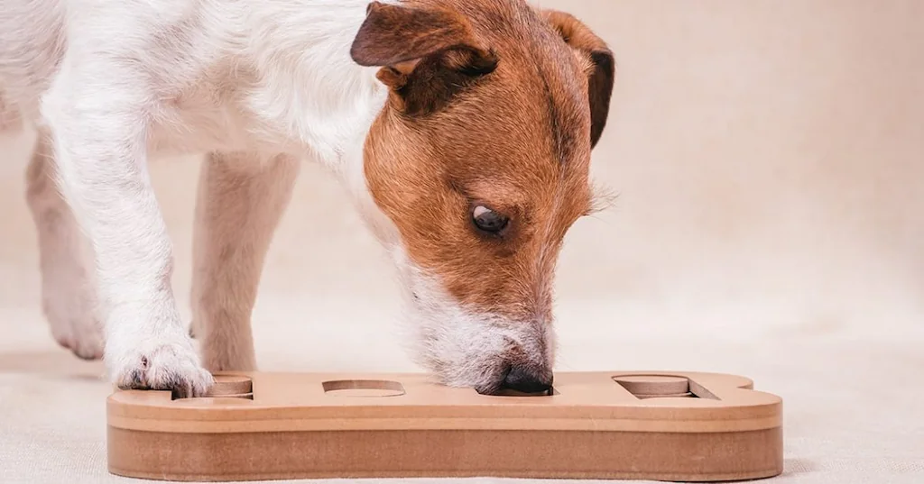 Pet Health and Wellness Tips: A Guide for Responsible Pet Owners