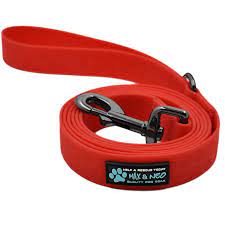 5 Top Essentials for Rainy Day Dog Walking