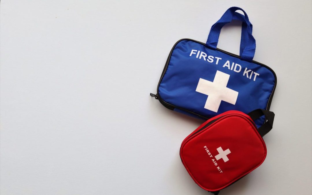 Pet Disaster Preparedness: Tips for Creating a Pet Emergency Kit