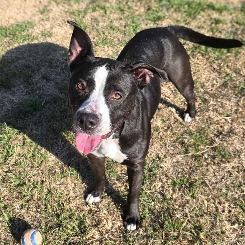 Maggie