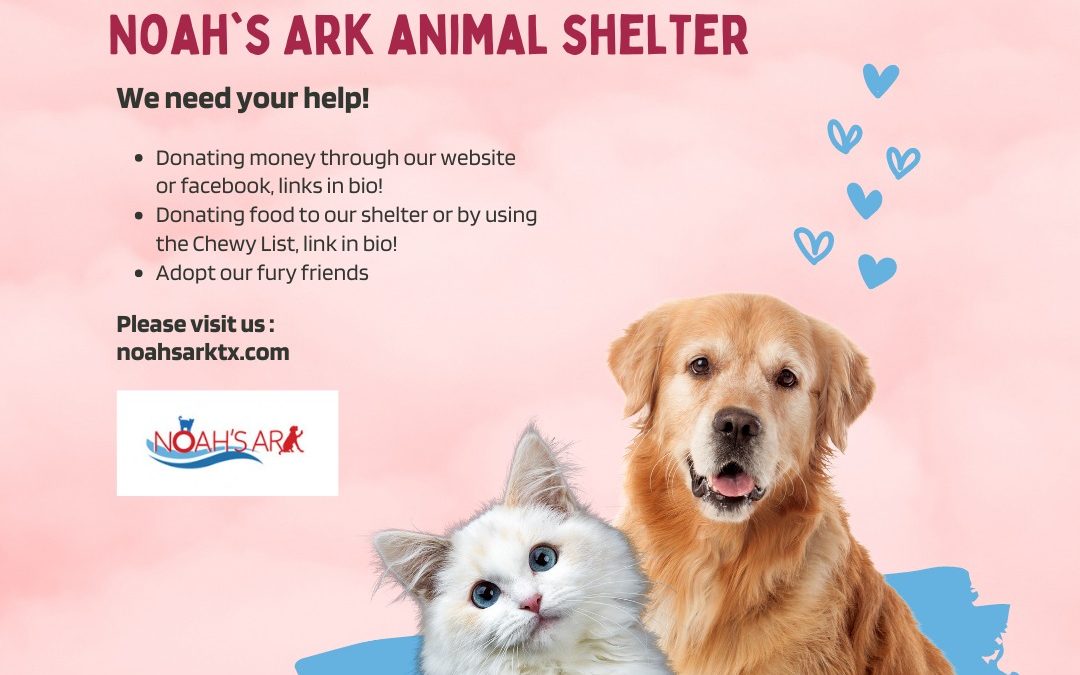 💔 Urgent Shelter Needs! 🆘🏠