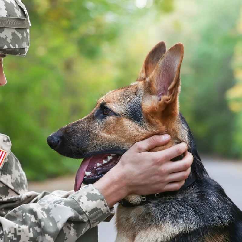 Veteran Program