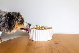 Decoding Pet Nutrition: Homemade vs. Store-Bought Pet Food Comparison with 5 Easy DIY Recipes