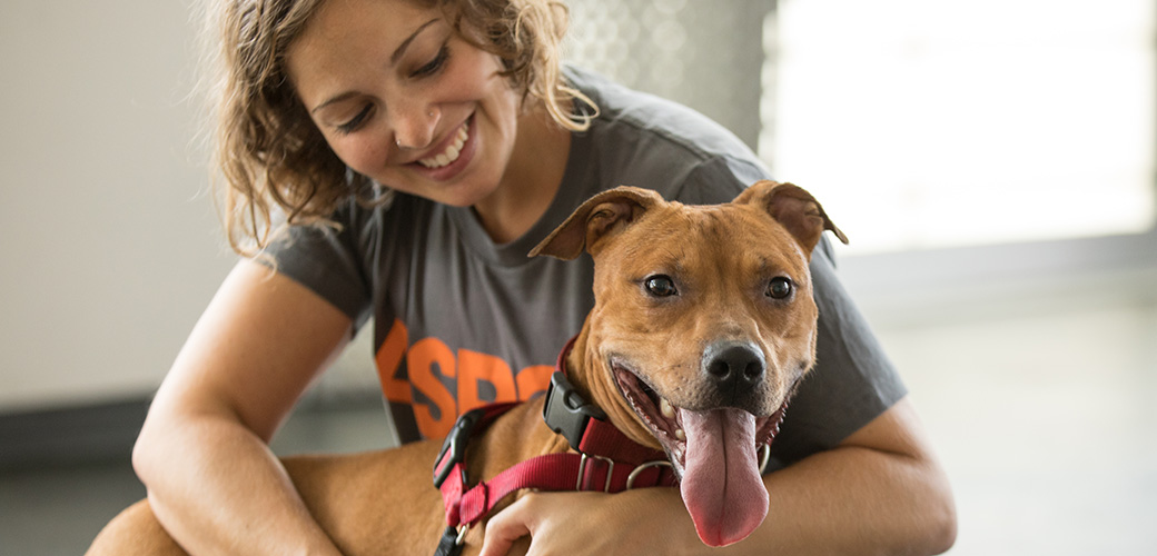 Adoption process: Step-by-Step Guide